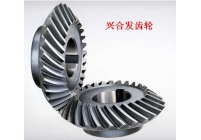 Umbrella wheel, bevel gear